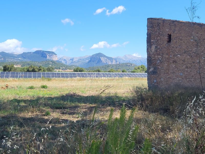 Foto 7d89d099-4535-4926-ab80-0e0c1b451ed1. Finca rústica a Santa María del Camí