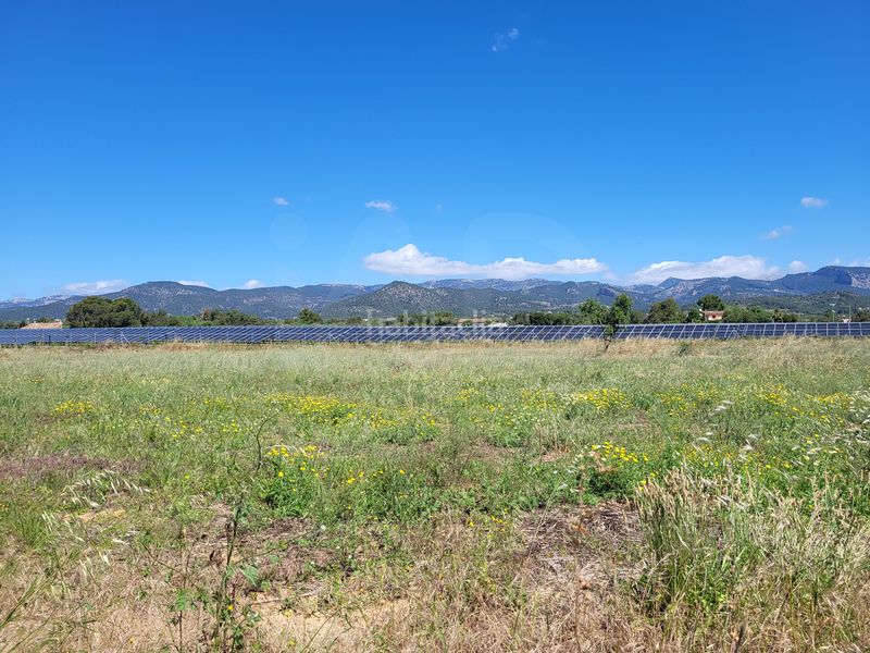 Foto 8790d4e8-11c4-4f59-a497-4a323f38b13d. Finca rústica a Santa María del Camí