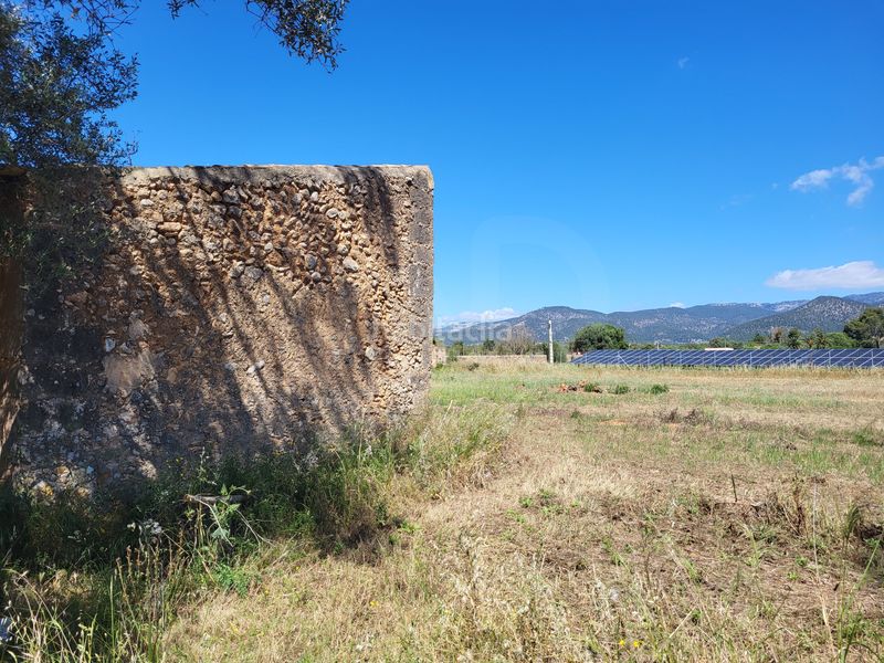 Foto b3256ff5-fde0-4218-8408-94ea2758822b. Finca rústica a Santa María del Camí