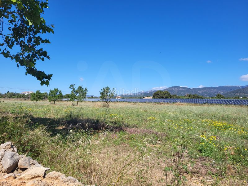 Foto bddfd767-b6a5-441b-931a-e0da0090c109. Finca rústica a Santa María del Camí