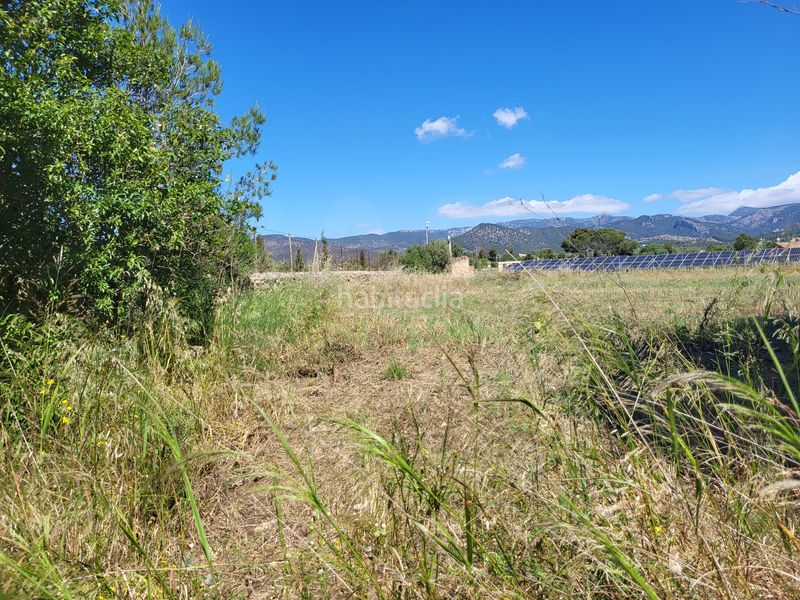 Foto d952a661-f240-41ee-84a2-2ec658409f6d. Finca rústica a Santa María del Camí