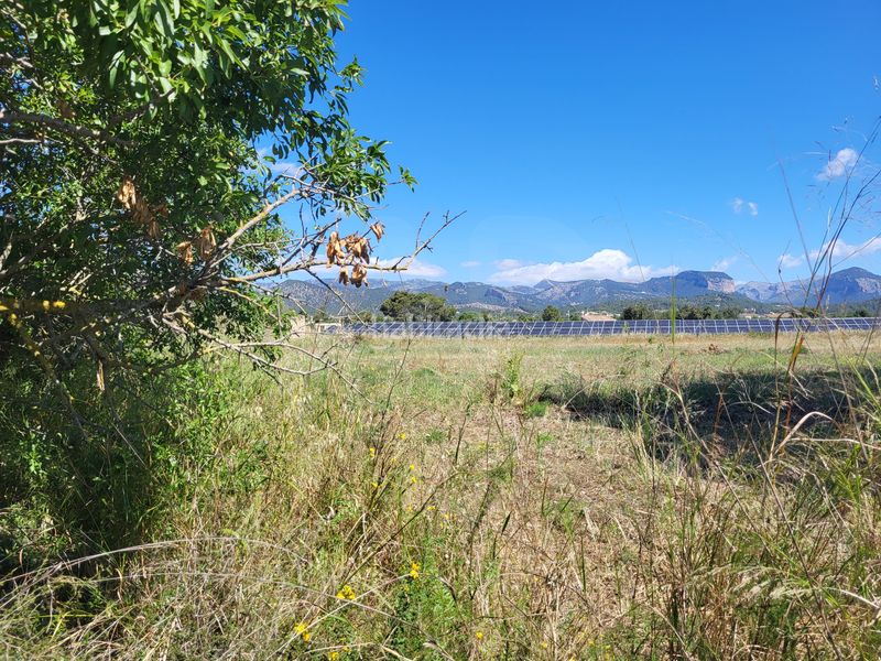 Foto f0cc3eaf-66af-4ee6-84d5-65800e5ee5ec. Finca rústica a Santa María del Camí