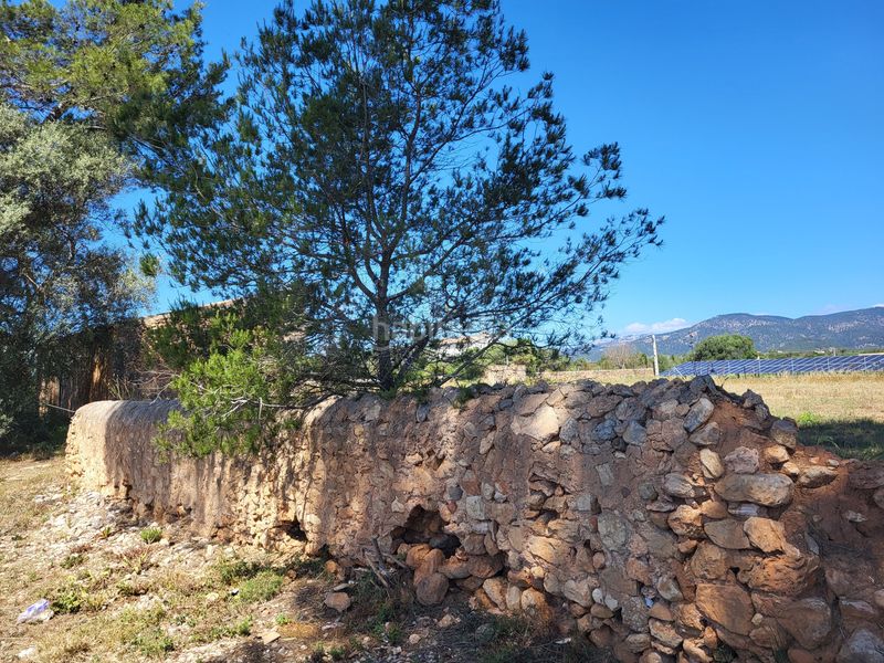 Foto f65deea8-d2a1-44f3-8a42-02e5407de85a. Finca rústica a Santa María del Camí