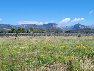 Fondo rustico in Santa María del Camí