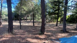 Residential Plot in Robledo de Chavela