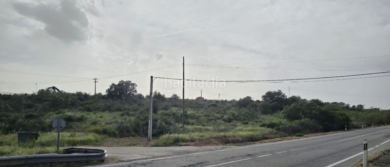 Foto 02f9bfea-fa42-498e-904e-1e857d5993e5. Finca rústica a Montehermoso