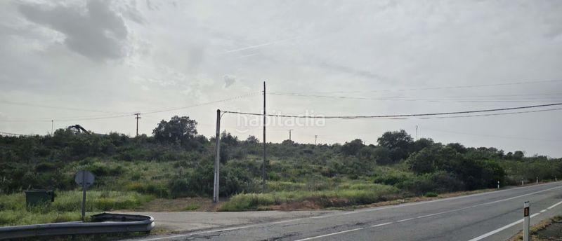 Foto 403e80f5-a0ef-4570-970f-0fb0638f2063. Finca rústica a Montehermoso
