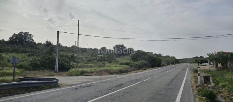 Foto de2984c8-4977-4dfc-8384-4e3d21409e0e. Finca rústica a Montehermoso