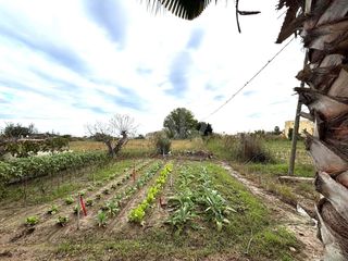 Residential Plot in Deltebre