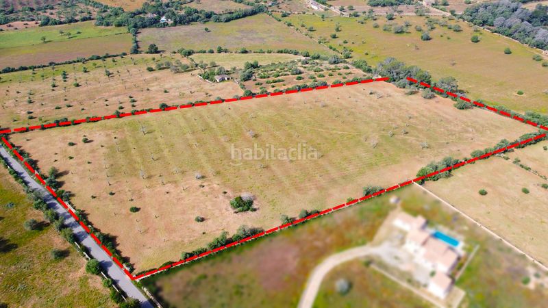 Foto a8713db1-f344-4e4e-91fd-c1e6a438fc3d. Finca rústica a Llucmajor interior Llucmajor