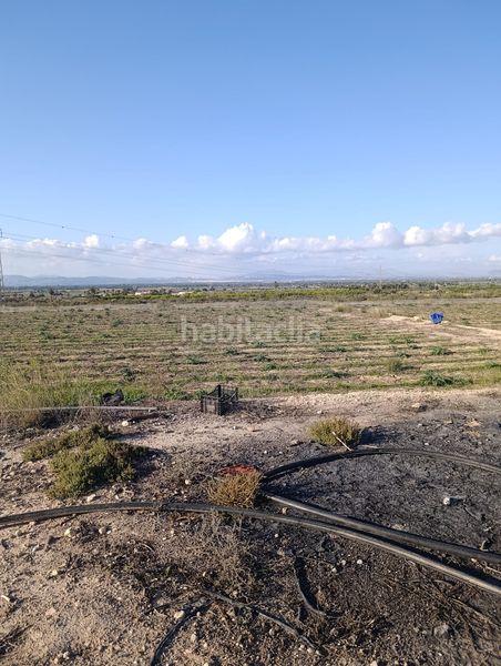 Foto 5ee42d8e-fe44-4e7d-9faa-54e8d9f10de8. Finca rústica a La Marina Elche / Elx