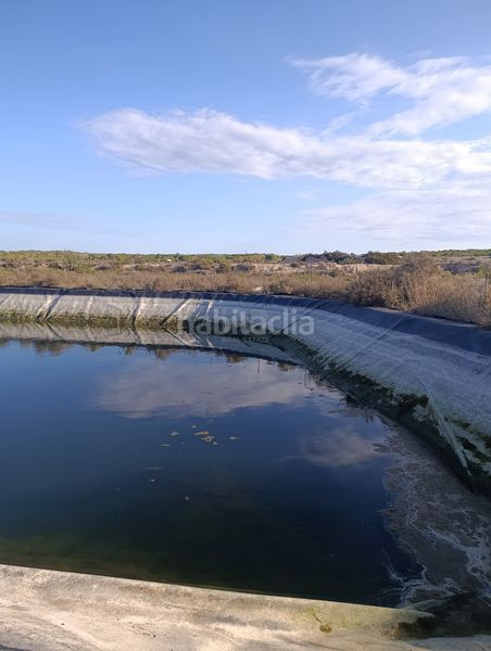Foto 9bb8ff45-cfc7-47a0-92a8-be95801643e6. Finca rústica a La Marina Elche / Elx