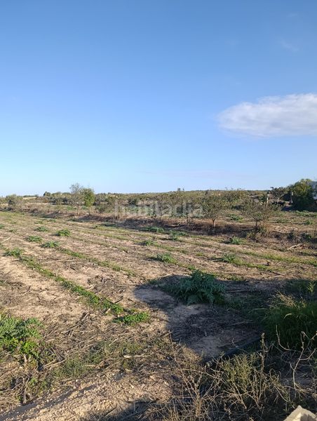 Foto f183d7e2-63d1-4ef5-8c55-32910ae9daea. Finca rústica a La Marina Elche / Elx