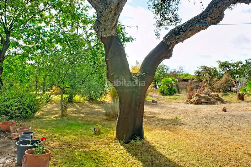 Foto 431cb0b3-84c4-4a85-8c09-c418ca3753d5. Chalet en Beas