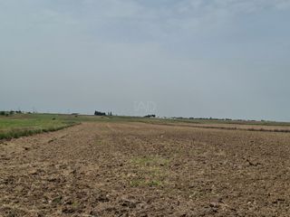 Propriété à Polígono 4 parcela 200