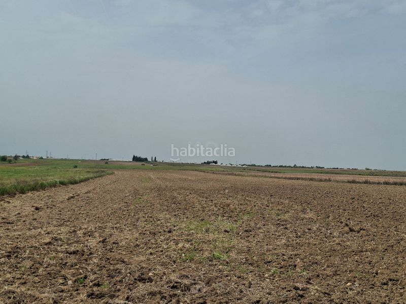 Foto 2ab8b1b1-d64b-48fc-83fc-7d9d51ace4e0. Finca rústica a Ugena