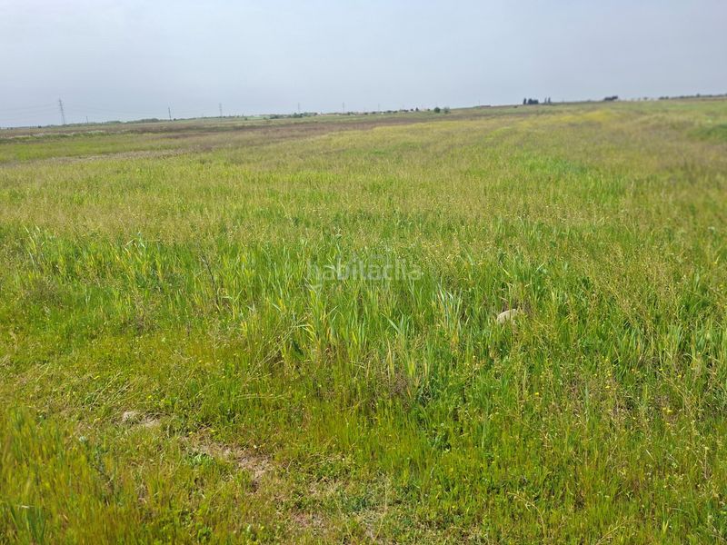 Foto f13537a2-eb6d-4f6f-b583-136d0039df18. Finca rústica a Ugena