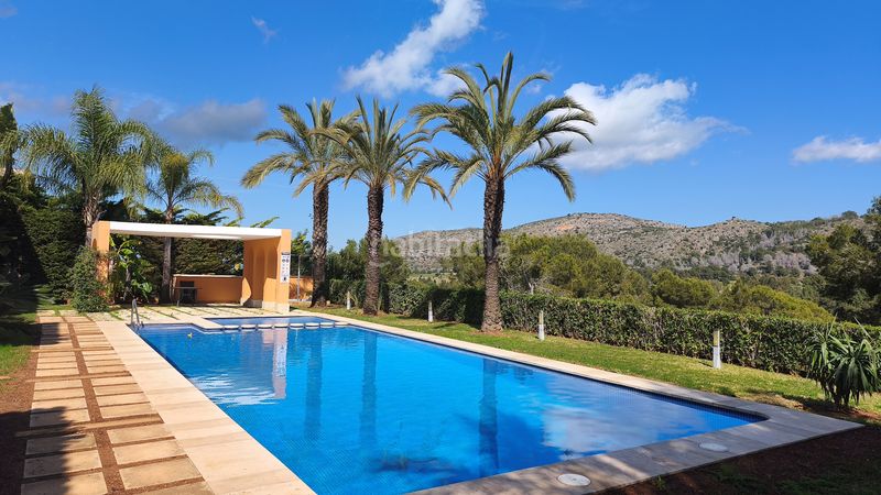 Foto 5145e163-fb8b-45ed-bbd5-da503e529220. Pis amb aparcament piscina a Pedreguer