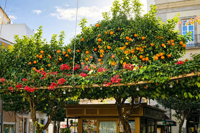 Foto 35649181-1446-4a2a-a462-505fd34df784. Pis a Tarifa ciudad Tarifa