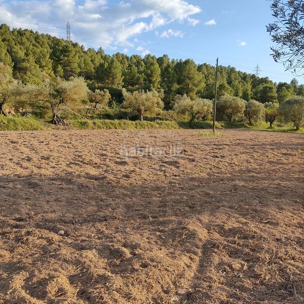Foto a20a703f-9102-4757-9580-4698be11d779. Finca rústica a Flix