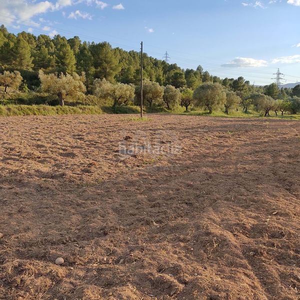 Foto db6d943d-7011-4c63-8684-4c6287b21e20. Finca rústica a Flix