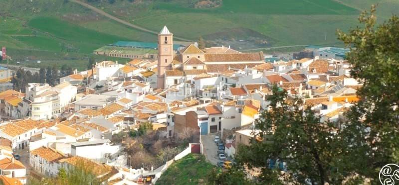 Foto ad810797-46c7-4845-a039-f5fb27437d8b. Edifici a Pinares de San Antón Málaga