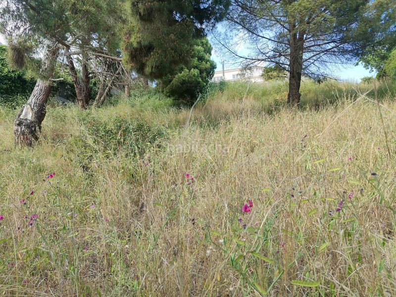 Foto 169569d5-a750-407f-9e04-ee84f9b60ccb. Residential plot in Calella