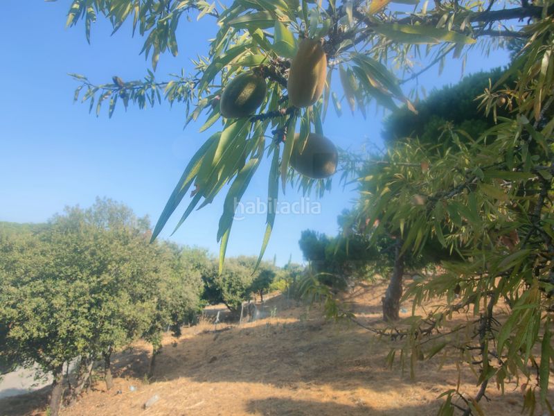 Foto 414be64b-8b97-4601-b0f4-f6822da6f7d8. Residential plot in Calella