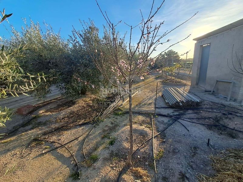 Foto 283d25db-d35a-454e-8fe2-6109925c3486. Casa amb aparcament a Escucha Lorca