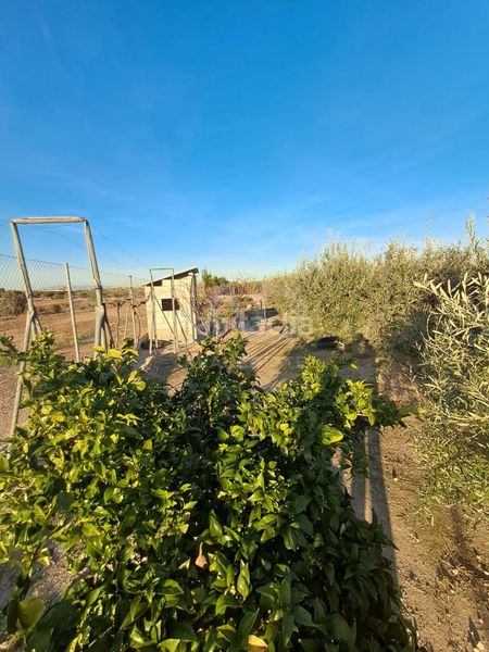Foto 55e3e532-3a8c-42a7-9c78-2e2c9282a4de. Casa amb aparcament a Escucha Lorca
