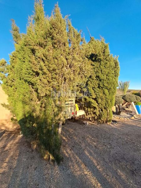Foto d721f2e9-938c-48d6-a8c3-b348b4b36f23. Casa amb aparcament a Escucha Lorca