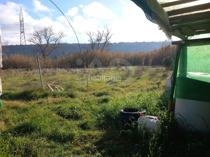 Foto 06b2ffc0-84a8-4f33-b87d-b7eb61d2803c. Finca rústica a Petra