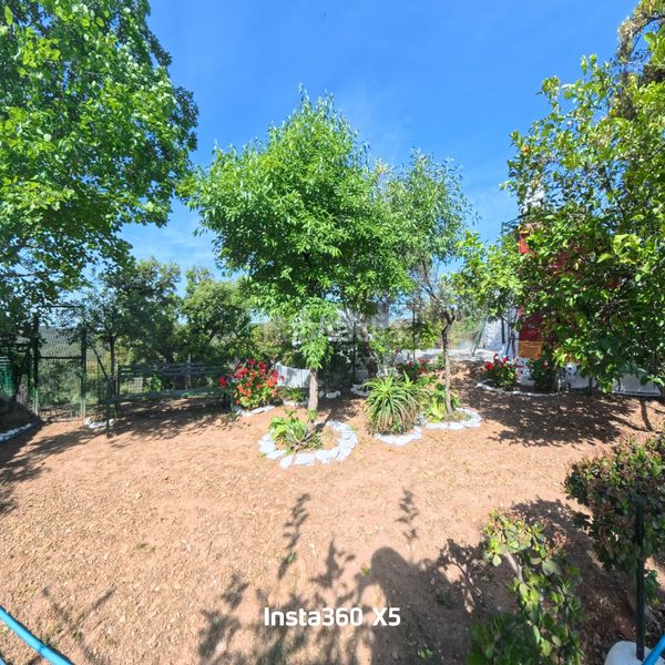 Foto 565cdeec-15fa-4c0a-a64d-a3d68fa9fe6c. Finca rústica a Berrocal