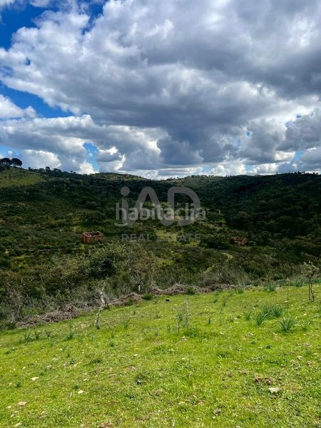 Foto 79eed7fc-0f42-43ec-8181-9fa8a6fa3e52. Finca rústica a Berrocal
