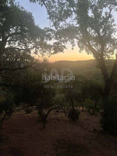 Foto a8bbeda5-ba64-4131-989b-66619b6a4041. Finca rústica a Berrocal
