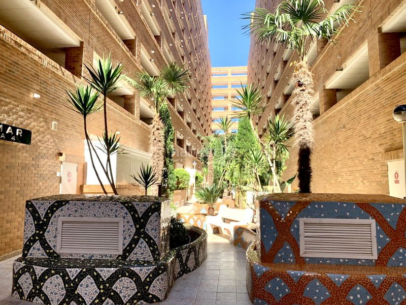 Foto 4d241d5c-b37a-45bb-8850-5c8d0879625a. Àtic amb calefacció aparcament piscina a Playa Coral - Torremar Oropesa del Mar