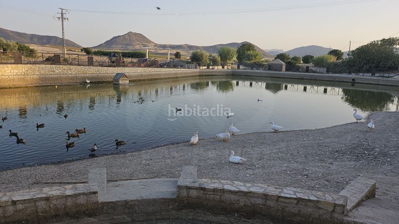 Foto dd00cb1d-c931-45aa-8384-57874cb9cd46. Masia amb calefacció a Doña Inés Lorca