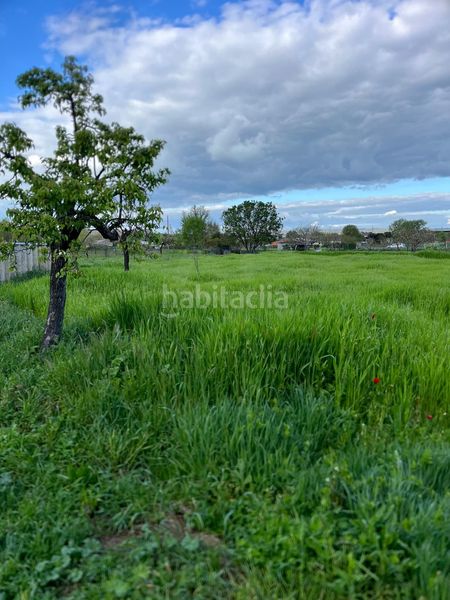 Foto b665481b-57c3-442c-b324-a1caddb497ee. Finca rústica en Ciudad Rodrigo