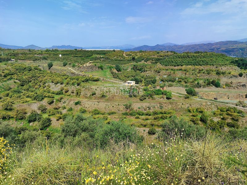 Foto 0ecc6e87-ea33-45b2-8536-cf2f32e53f4e. Finca rústica a Camino Viejo de Málaga Vélez - Málaga