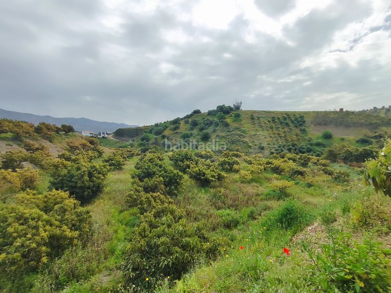 Foto 3ea77587-b3ce-4699-9f67-7477bda61a4c. Finca rústica a Camino Viejo de Málaga Vélez - Málaga