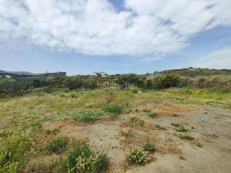 Foto 45a6e71d-5449-4ff6-b6aa-5d107a646f06. Finca rústica a Camino Viejo de Málaga Vélez - Málaga