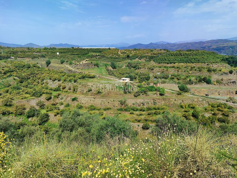 Foto 733ca5f3-003e-4c61-97c0-d4136b50ff44. Finca rústica a Camino Viejo de Málaga Vélez - Málaga