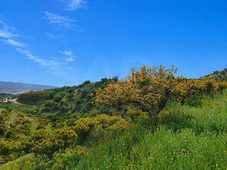 Finca rústica a Camino Viejo de Málaga