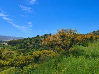 Finca rústica a Camino Viejo de Málaga