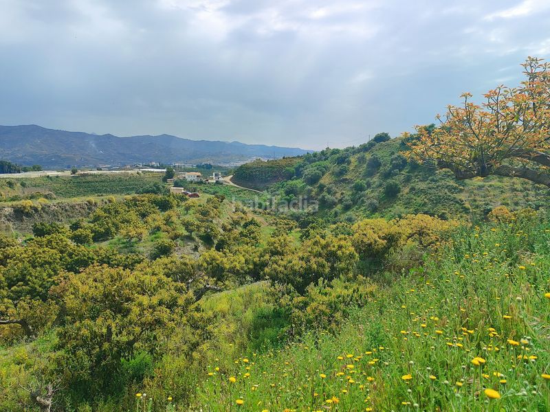 Foto b5625dd7-9277-43e7-853e-8783252753fc. Finca rústica a Camino Viejo de Málaga Vélez - Málaga