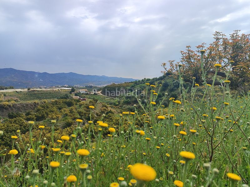 Foto c3b6ba2a-b841-4a0d-9177-f74968cdefb5. Finca rústica a Camino Viejo de Málaga Vélez - Málaga