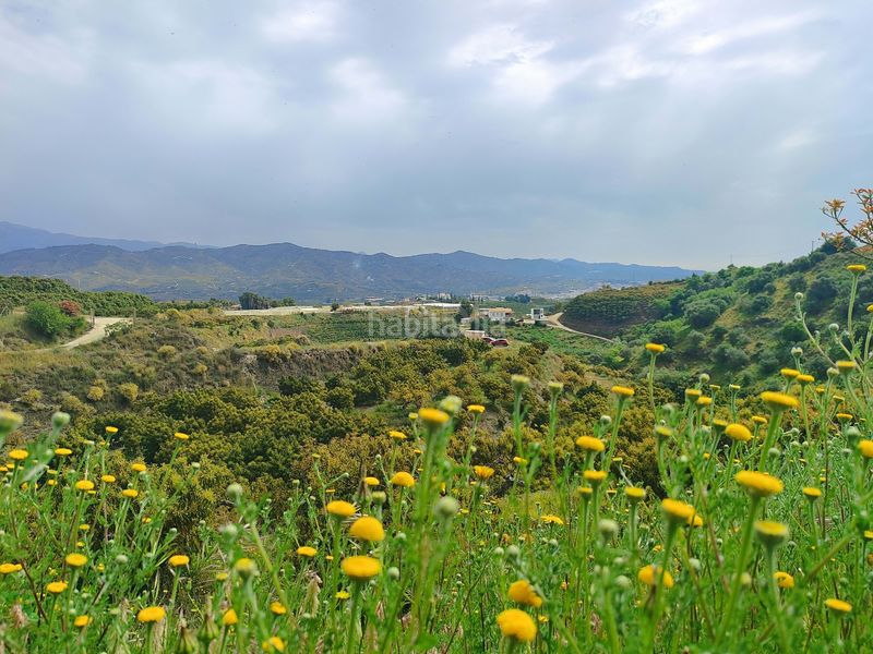 Foto e3b6fd33-a4ff-4ad6-860b-e25d465e8917. Finca rústica a Camino Viejo de Málaga Vélez - Málaga