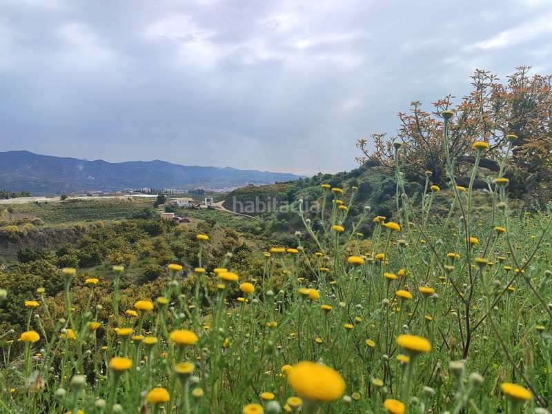Foto f0b47a67-1ef7-4564-802c-c55c73d91f89. Finca rústica a Camino Viejo de Málaga Vélez - Málaga