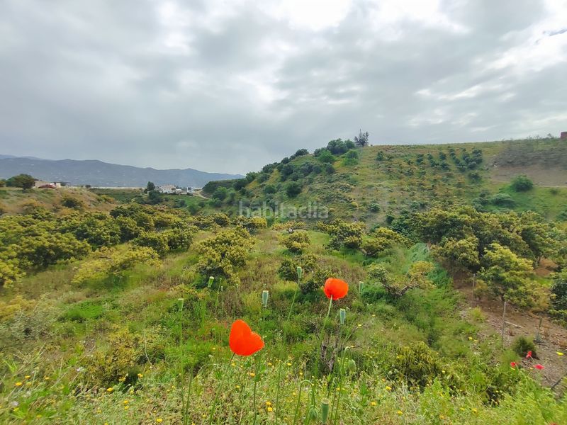 Foto f2c4e2c2-c4d8-419e-8791-376d74014dd7. Finca rústica a Camino Viejo de Málaga Vélez - Málaga