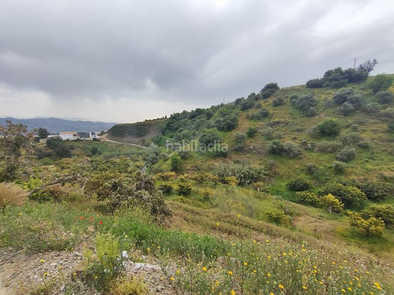 Foto f80de098-5e12-4d94-8c7f-f78dec460c3a. Finca rústica a Camino Viejo de Málaga Vélez - Málaga